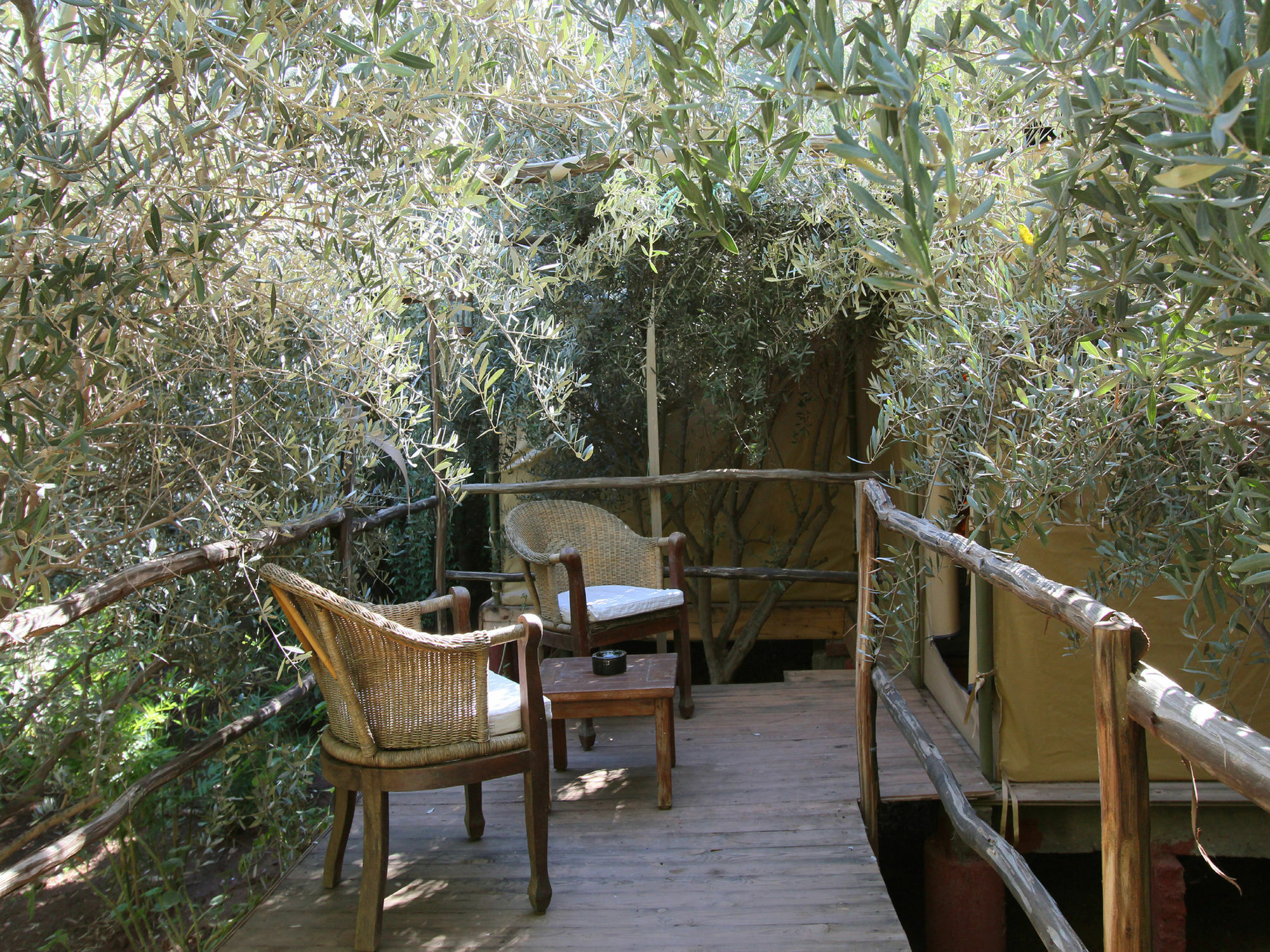 Le Jardin Touagana - Campement & Lodge Touggana Экстерьер фото